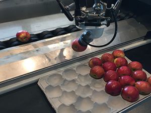 Mehrprodukt-Verpackungsanlagen - Greefa - automatisch