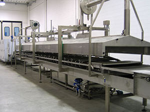 Nudelproduktionsanlage für frische Nudeln - Food Tech S.r.l. - für Nudelnester / mit Kühlung / mit Pasteurisierung