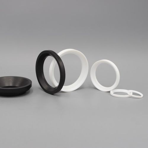 Dichtung für sphärisches Kugelventil - Dytron Advanced Materials Co., ltd - PTFE / für Pumpen / für Chemieanwendungen