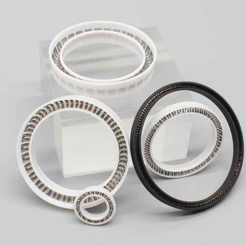 Gefederte-Dichtung - Dytron Advanced Materials Co., ltd - Thermoplast / Fluorpolymer / PTFE