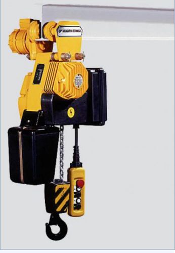 Elektrischer Kettenzug - T BYC 104M 2 - Alexandria Crane Systems