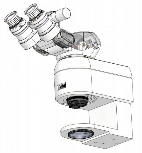 Optisches Mikroskop - Fujian RISING EO Technologies CO.,LTD - medizinisch / binokular / Zoom