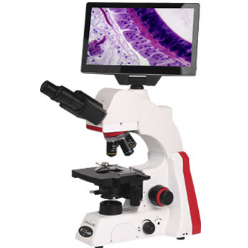 Digitales Mikroskop - BMC100 - Phenix Optics Co., Ltd - Industrie / medizinisch / Tischgerät
