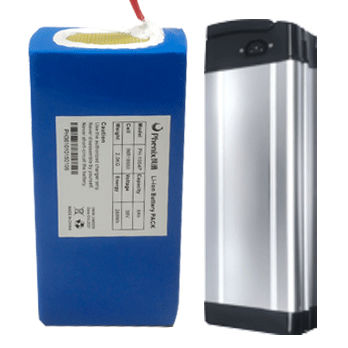 Rechteckige Batterie - Phenix Optics Co., Ltd - für Elektrofahrzeug