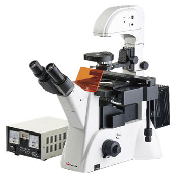 Fluoreszenzmikroskop - PH-YGD - Phenix Optics Co., Ltd - optisch / für die Pharmaindustrie / Invers