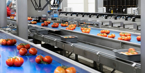 Optische Sortiermaschine - Koppert Machines & Zonen B.V. - automatisiert / für Tomaten / Roboter