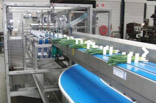 Gemüseverarbeitungslinie - Koppert Machines & Zonen B.V.