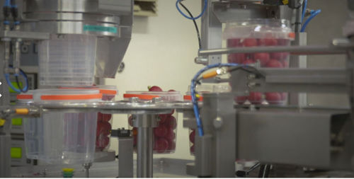 Automatische Abfüllmaschine - Koppert Machines & Zonen B.V. - Becher / für Nahrungsmittel / für die Lebensmittelindustrie