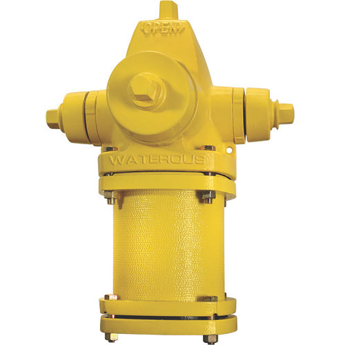 Feuer-Hydrant / ANSI/AWWA C502 - Waterous Pacer - American Flow Control