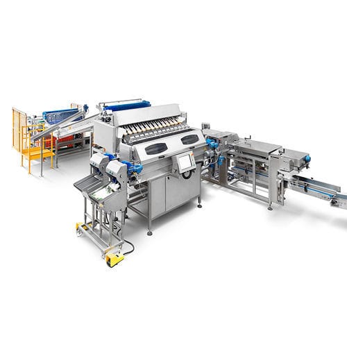 Lineare Wiegemaschine - CALIBRA WEIGHER.F12 - CALIBRAFRUTA LDA - elektronisch / für die Lebensmittelindustrie / Edelstahl