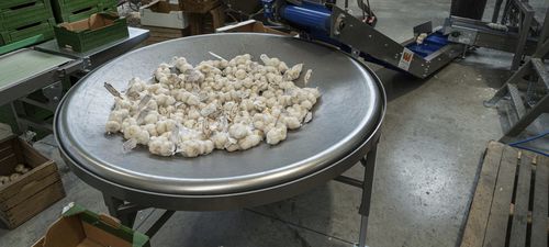 Drehtisch für Verpackungslinie - Sorma S.p.A. - für die Lebensmittelindustrie