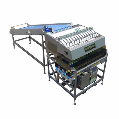 Elektronische Wiegemaschine - W series - Sorma S.p.A. - Knoblauch / für Obst / für Tomaten