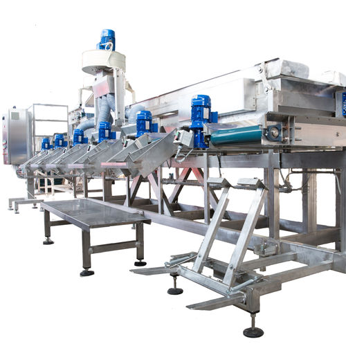 Kalibrieranlage für Gemüse - Alutec Food CAMPESATO® - für Obst / Vibration