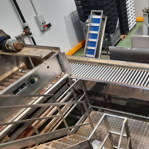 Gemüseverarbeitungslinie für Kartoffeln - Alutec Food CAMPESATO®