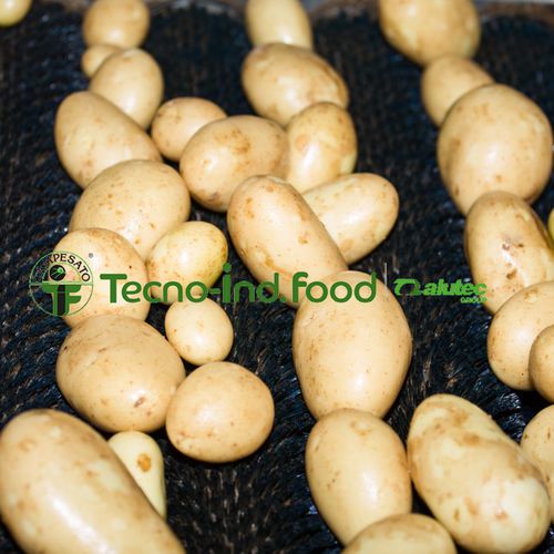 Gemüseverarbeitungslinie für Kartoffeln - Alutec Food CAMPESATO® - Wasch / zum Sortieren