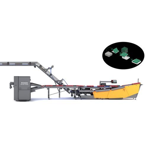 Verpackungsanlage für die Lebensmittelindustrie - Poker - FRUTMAC SRL - für Lebensmittel / für Platten / für Schachteln