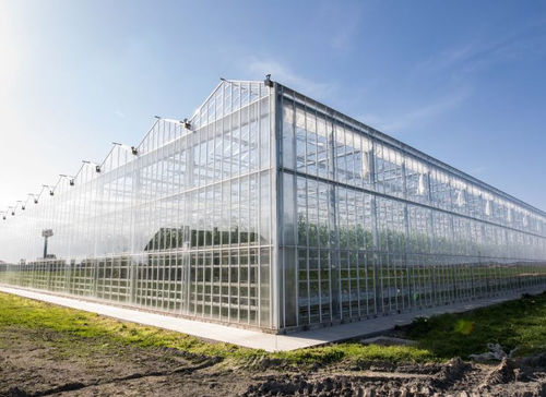 Glasplatte - Gakon Horticultural Projects BV
