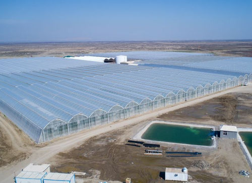 Polyethylenplatte - Gakon Horticultural Projects BV
