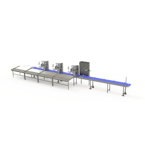 Sortiersystem für die Lebensmittelindustrie - ZTI smart machines - Band
