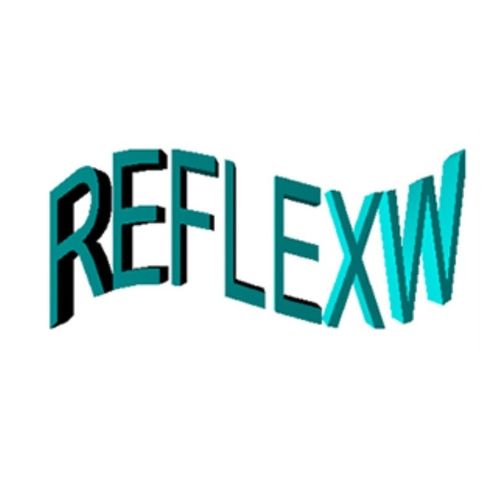 Datenanalysesoftware - Reflexw  - ImpulseRadar - Prozess / für Seismologen