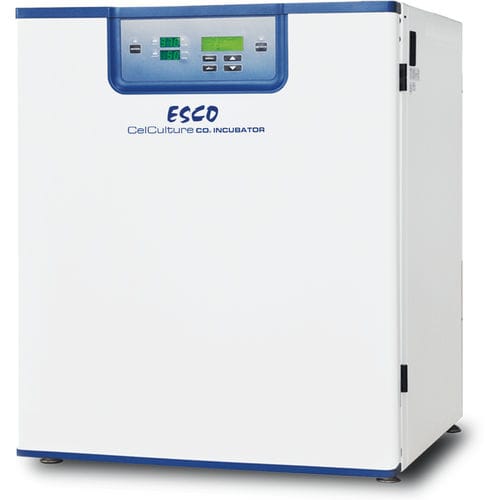 CO2-Inkubator - CelCulture® - ESCO - Labor / mit Zwangskonvektion