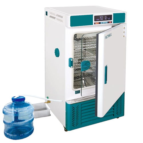 Labor-Inkubator - HWS series - Huanghua Faithful Instrument Co.,LTD. - mit Zwangskonvektion / digital / automatisiert