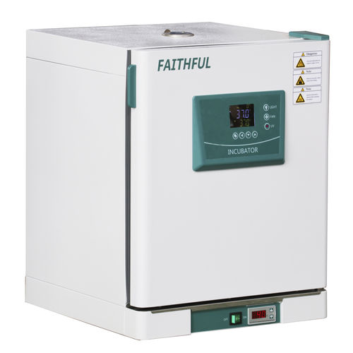 Labor-Inkubator - DHL series - Huanghua Faithful Instrument Co.,LTD. - biochemisch / mit Zwangskonvektion / digital