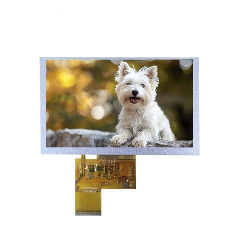 Displaymodul / TFT LCD - LN80480T050IA9098 - Beijing DWIN Technology Co., Ltd. - IPS / mit kapazitivem Touchscreen / mit resisitivem Touchscreen