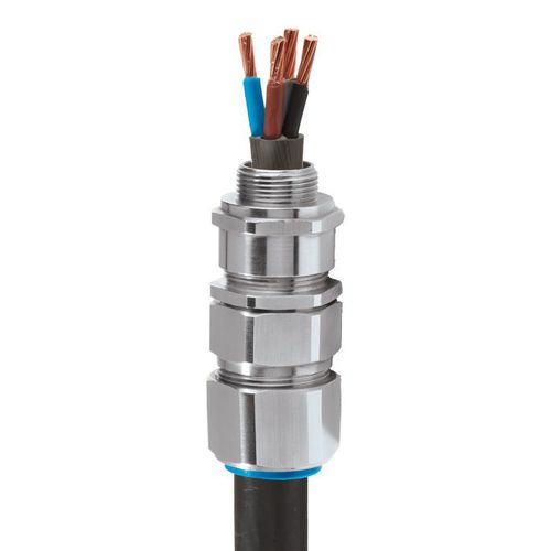 Kabelverschraubung / vernickeltes Messing - E1W - CMP Products - Messing / Aluminium / IP66