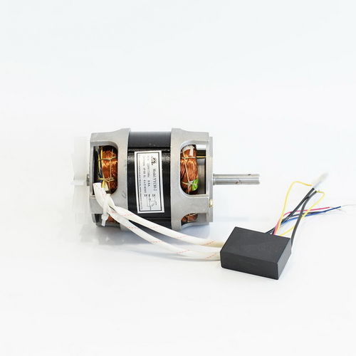 Induktionsmotor - YYC80-2 two ways - Zhejiang Aoer Electrical Appliance Company - einphasig / 220 V / Kondensatoren