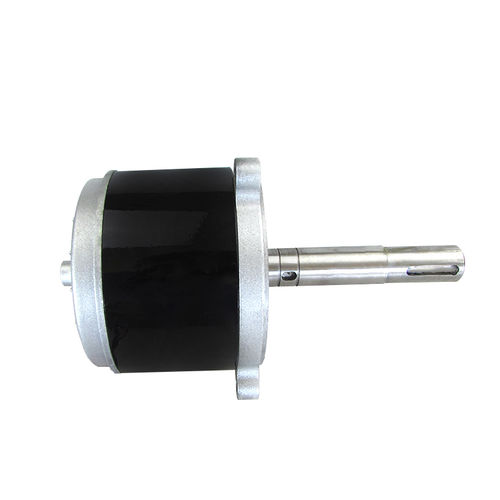 Bürstenbehafteter Motor - Ningbo BG Motor Factory - DC / 48 V / nach Maß