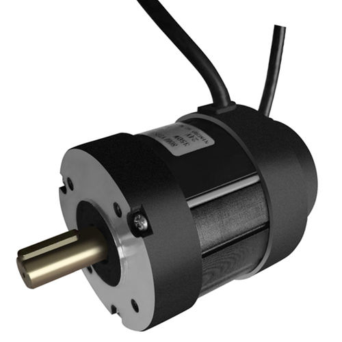 Bürstenloser Motor - Ningbo BG Motor Factory - DC / 36 V / für medizinische Geräte