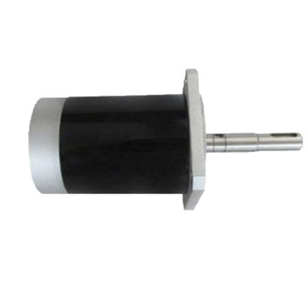 Bürstenbehafteter Motor - Ningbo BG Motor Factory - DC / 48 V / nach Maß