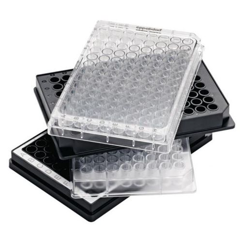 96-Loch-Mikrotiterplatte - 0030 series - Eppendorf SE - für Etiketten / Mikroplatten / für Absorptionsversuch