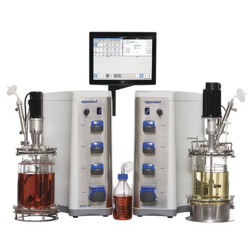 Fed-Batch-Bioreaktor/Fermenter - Bioflo® 320  - Eppendorf SE - Chargen / kontinuierlich / kontinuierlich