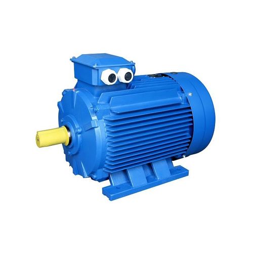 Induktionsmotor - YE2 series - FUDING BROTHERS POWER COMPANY - dreiphasig / 380 V / Käfigläufer