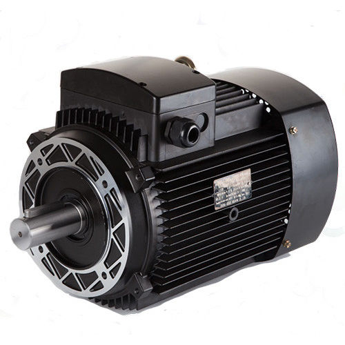Induktionsmotor - Grundfos series - FUDING BROTHERS POWER COMPANY - dreiphasig / klein / für hohe Temperaturen