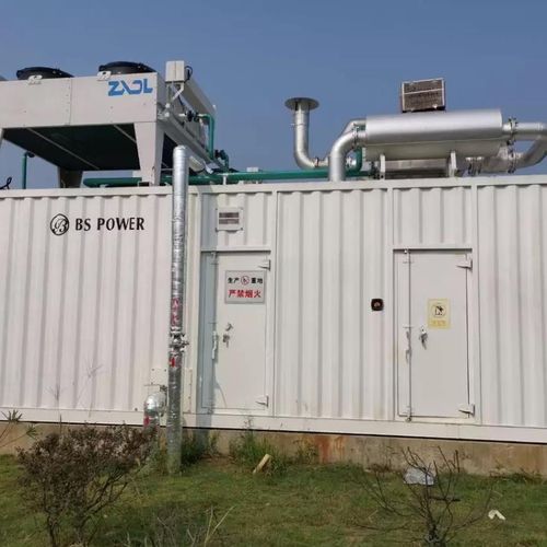 Erdgas-Stromaggregat - Perkins - Guangdong Binshi Power Technology Company - LPG / Biogas / einphasig