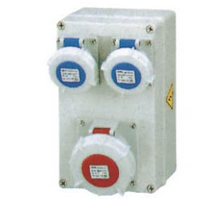 Maßgefertigtes Elektrogehäuse - 152517 - Yueqing Zhicheng Electrical Equipment Co., Ltd. - wandmontiert / IP66 / für Verteiler