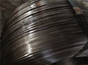 Drahtfeder - Nanjing Hengjie Industrial Co., Ltd. - Stahl / für mechanische Bauteile