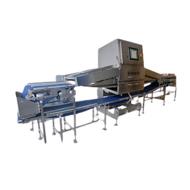 Scanner-System / für Detektion - FOTON-X 6040FP  - MSSPEKTRAL SAVUNMA SANAYİİ A.Ş. - Röntgen / für die Lebensmittelindustrie