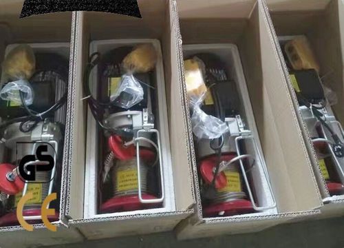 Elektrischer Kettenzug - PA 200/400 - Foshan Tongyida Lifting Equipment Manufacturing Co., Ltd. - mini / Wagen
