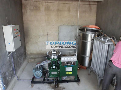 Membrankompressor - GL1-10/4-160 - Wenling Toplong Electrical & Mechanical Company - Stickstoff / mit Elektromotor / stationär