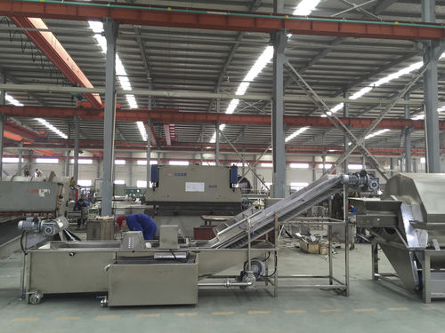 Lebensmittel-Waschanlage / Band - QXJ-D - SHAOXING WALLEY FOOD MACHINERY CO., LTD. - für Pilze / für Gurke / für Obst
