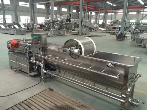 Pilzwaschanlage - WXJ - SHAOXING WALLEY FOOD MACHINERY CO., LTD. - für Erdbeeren