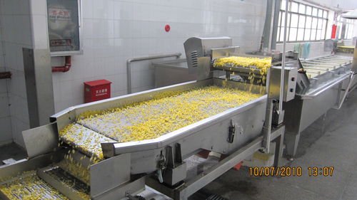 Vibrations-Entwässerungssystem - ZTS - SHAOXING WALLEY FOOD MACHINERY CO., LTD. - für Gemüse / mit Bandförderer