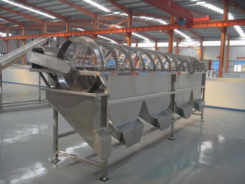 Kalibrieranlage für Pilze - OSJ-5 - SHAOXING WALLEY FOOD MACHINERY CO., LTD. - für Litchis / für Longanfrüchte / für Wasserbrotwurzeln