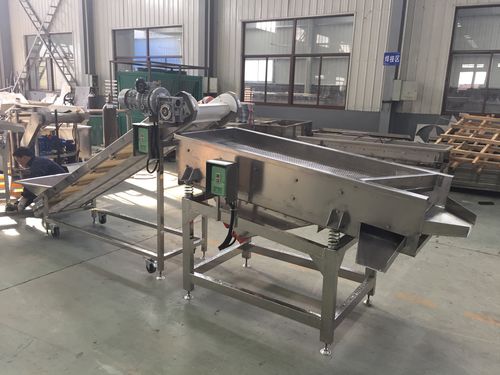 Kalibrieranlage für Gemüse - ZSJ-3 - SHAOXING WALLEY FOOD MACHINERY CO., LTD. - Karotten / Paprikaschoten / Vibration