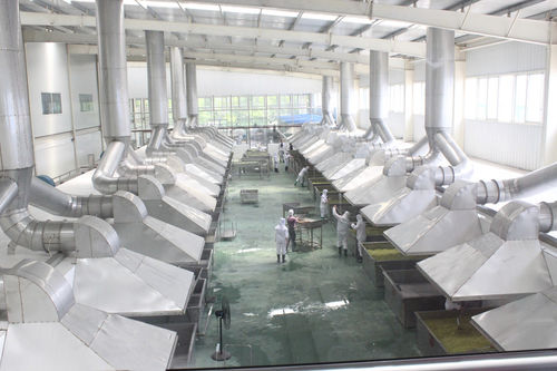Trockner für Gemüse - HGX Series - SHAOXING WALLEY FOOD MACHINERY CO., LTD.