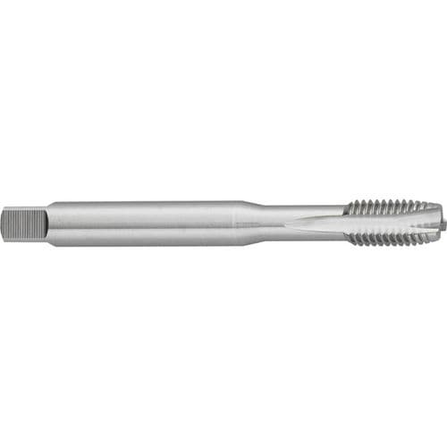 Gewindebohrer für Durchgang - M516 - Carmon - HSS/HSCO / für Edelstahl / M3 - M30